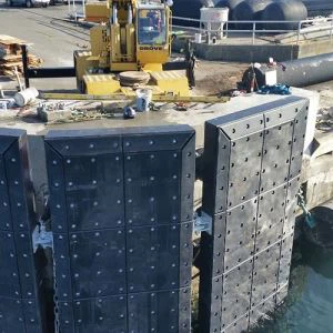 الوسادة البحرية الحاجز الوجه