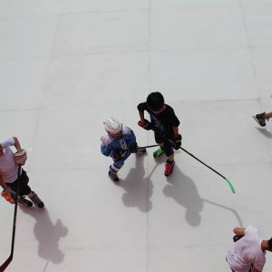 الحلبة الاصطناعية للهوكي